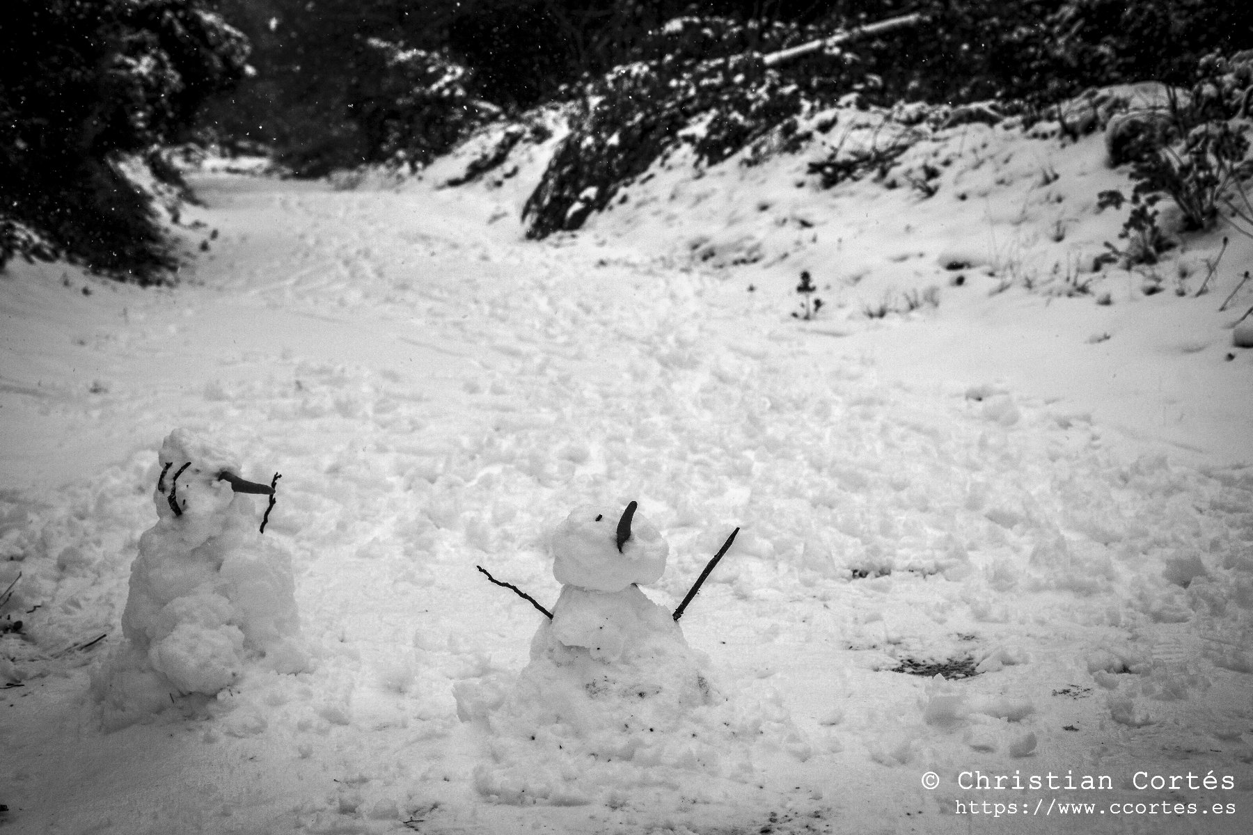 Nieve en Alicante 13